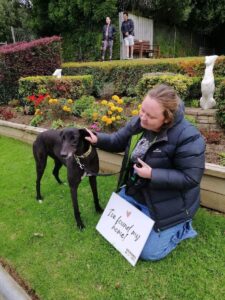 a woman wearing a winter coat in a garden, holding a greyhound's leash. She is kneeling behind a sign that says "I found my home!"