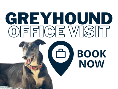 Greyhound Office Visit - book now