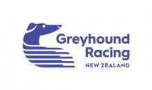 Greyhound Racing New Zealand