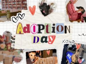 Adoption Day!