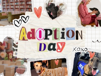 Adoption Day!